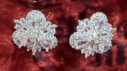 Zircon Studs